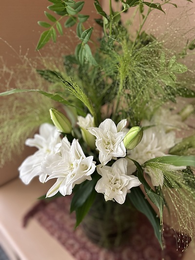 霧吹き草を
