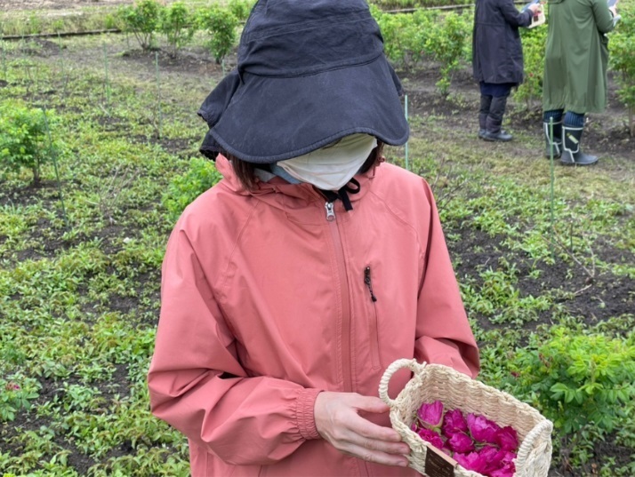 食香バラ