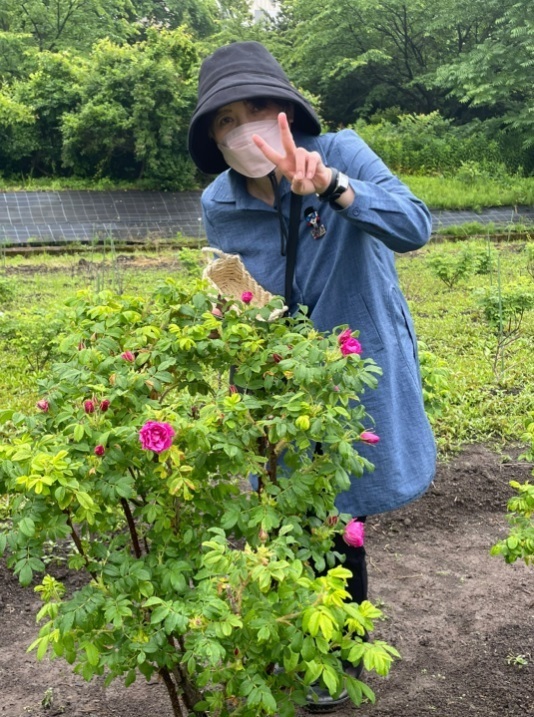 食香バラ