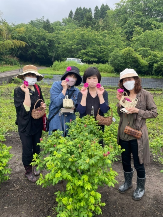 食香バラ