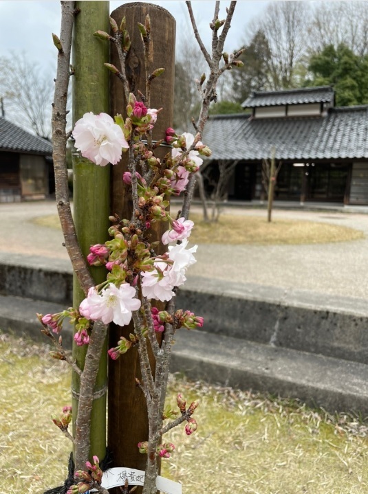 匠の里