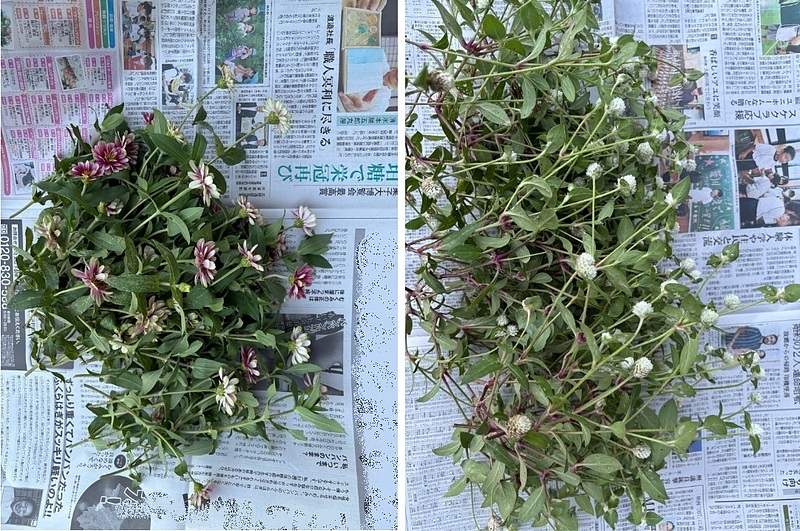 特別講師スペシャルレッスン