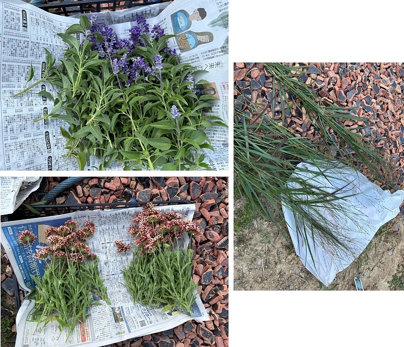 特別講師スペシャルレッスン