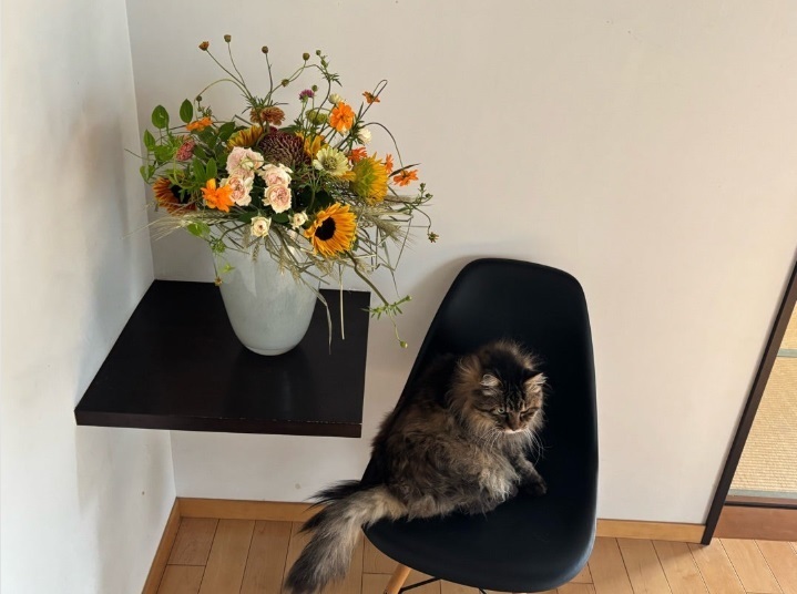 特別講師スペシャルレッスン