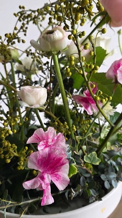 紅梅色の彩りで