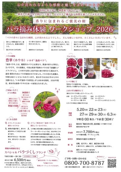 バラ摘み体験　ワークショップ　2026