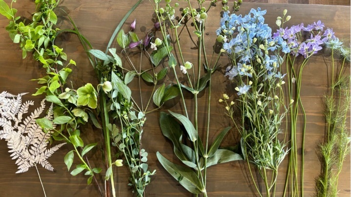 特別講師スペシャルレッスン