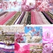 ■いよいよ4/14　くゆら倶楽部「Cherry Pinky Spring at 内山邸」■