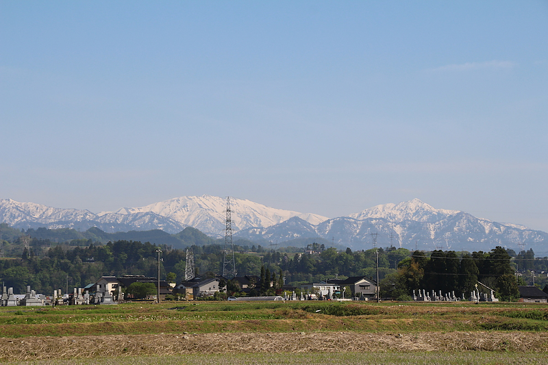 屋敷林のある風景