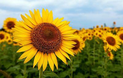 転機を力に変えて　～お三人様の栄冠～