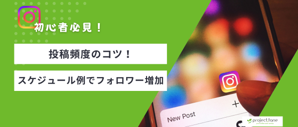 投稿頻度のコツ!初心者向けスケジュール例でフォロワーを増やす紀伊zアイキャッチ 投稿頻度のコツ!初心者向けスケジュール例でフォロワーを増やす紀伊zアイキャッチ