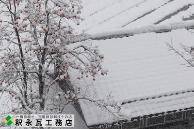 雪の残り柿と瓦屋根　富山県菅沼集落