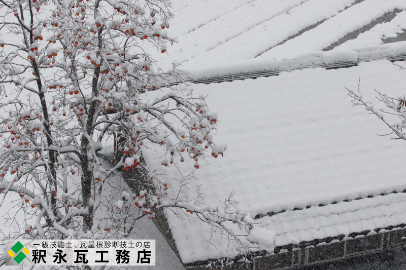 雪の残り柿と瓦屋根　富山県菅沼集落