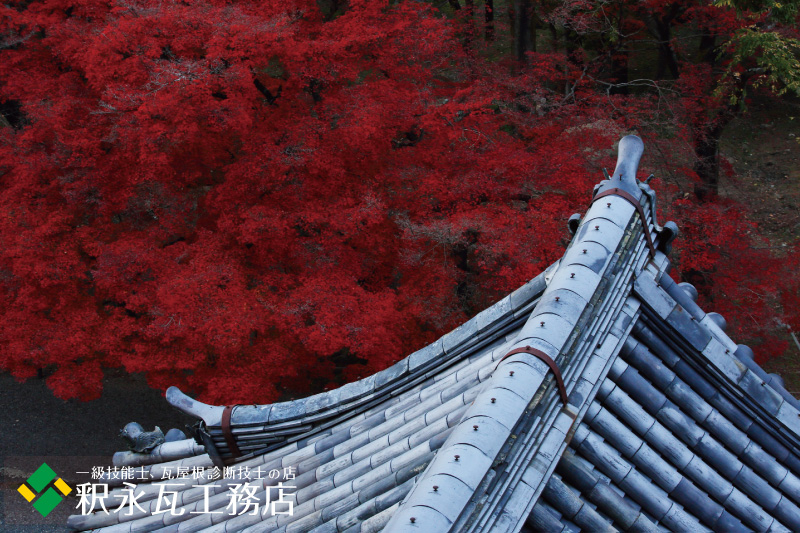 南禅寺 三門にて鬼瓦と紅葉。（いぶし本葺き）