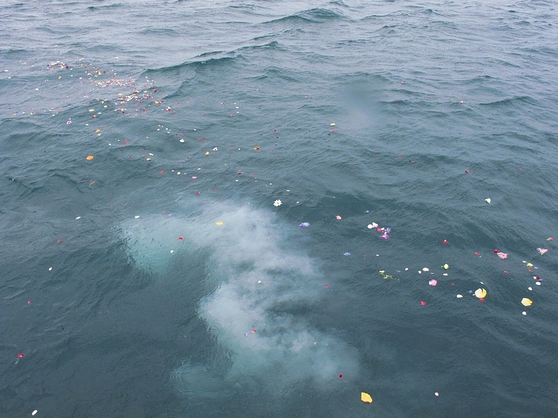 散骨　波間に漂うご遺骨と花