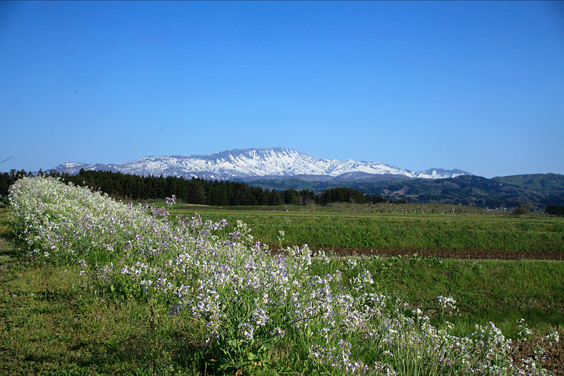 山形の風景