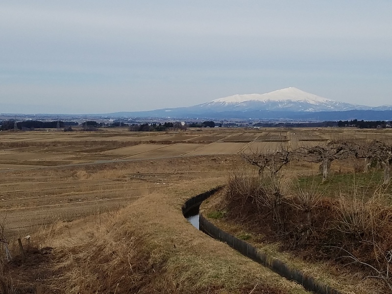 庄内風景