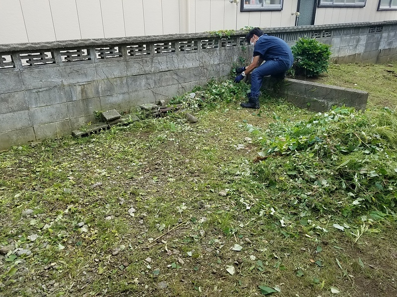 雑草除去