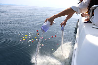 海洋散骨葬　菩提寺と墓じまい
