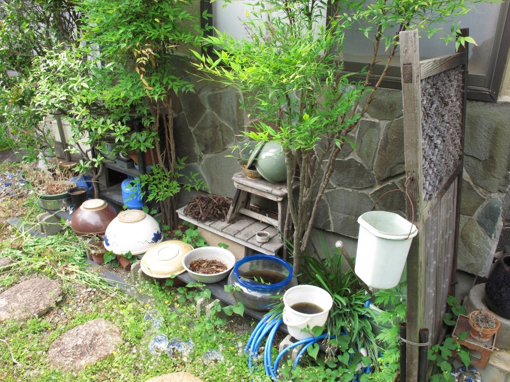 並行して庭の片付けも行います