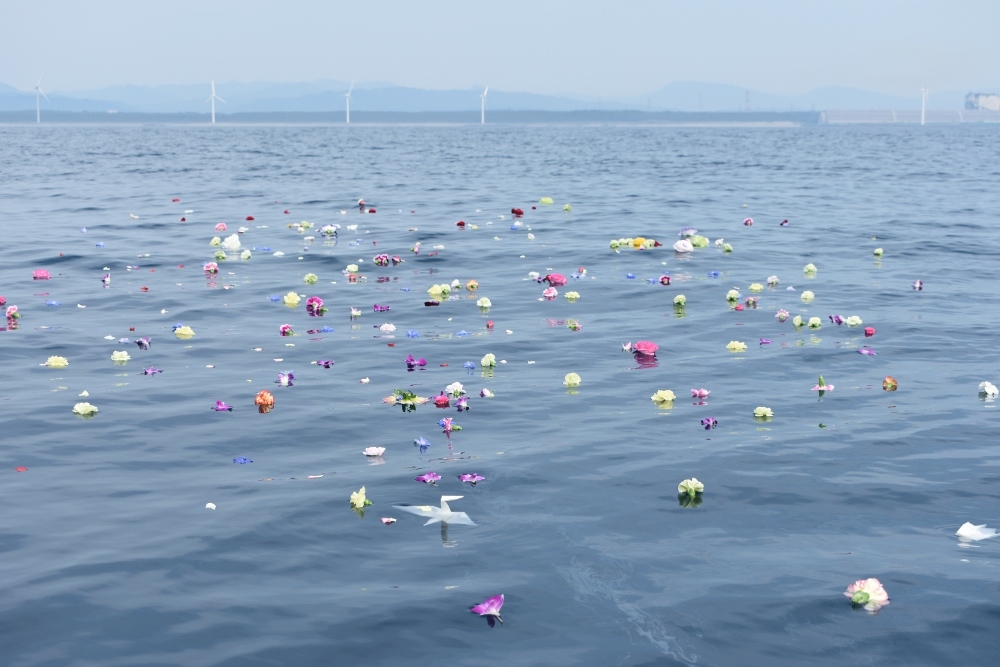 波が無いのでいつまでも花びらが漂っています