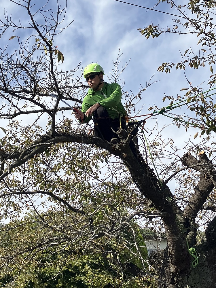 安藤祐樹 あんどうゆうき