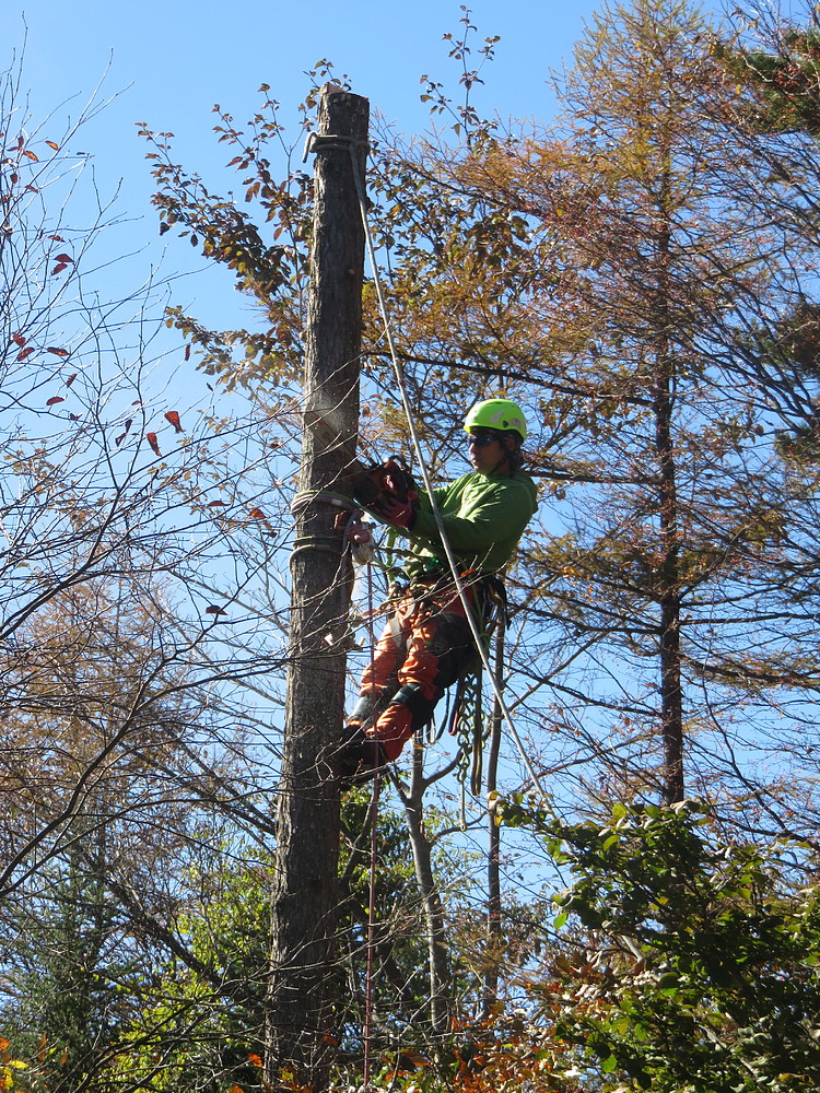 安藤祐樹 あんどうゆうき