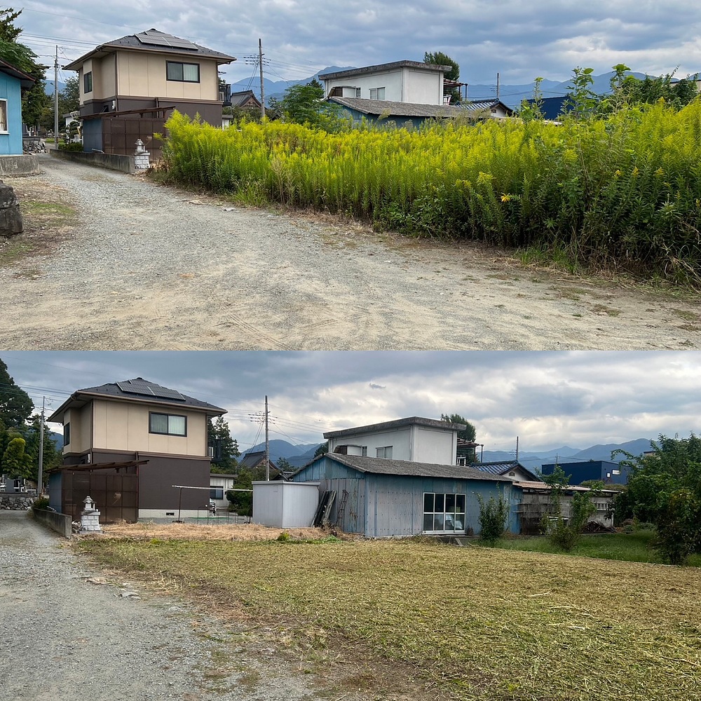 上）除草前　　下）除草後