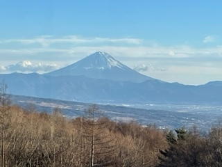 有野鶴美 ありのつるよし