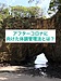 アフターコロナに向けた体調管理法とは？