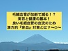 感染予防も美容も健康も毛細血管次第！？毛細血管の血流改善と漢方的『瘀血』対策とは？②