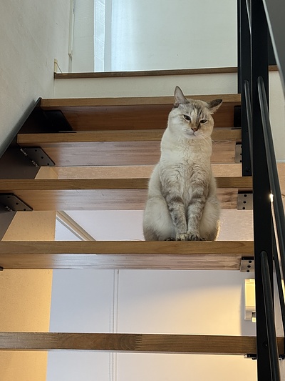 冬の朝の過ごし方〜冬の朝はゆっくりを意識〜山梨　漢方　さわたや薬房